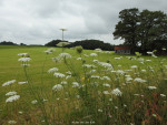 Paandersdijk